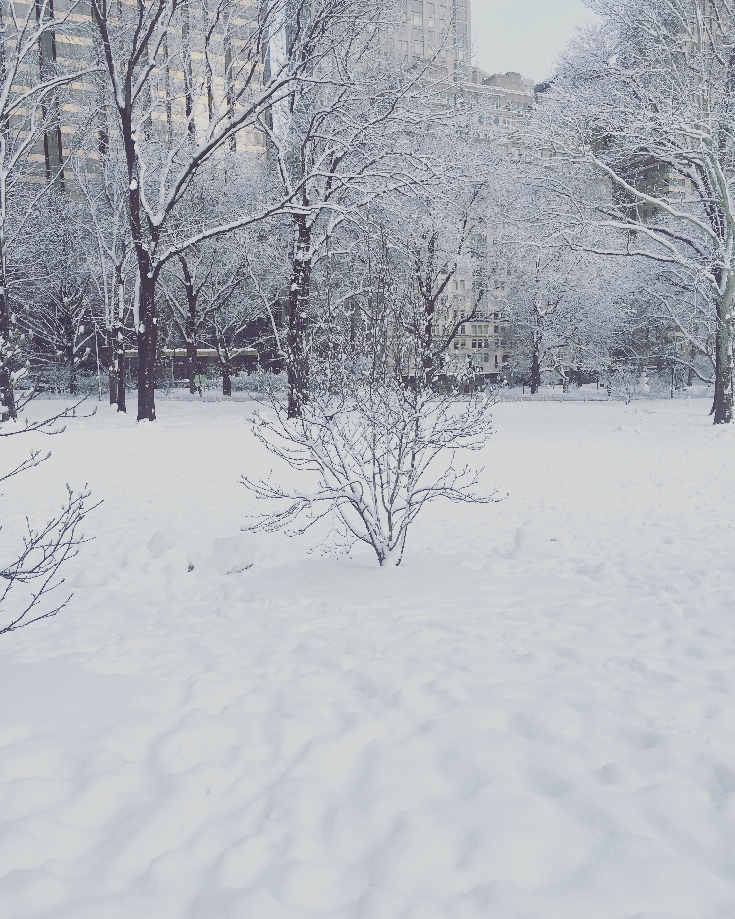 40249643394_baaaeee95f_o